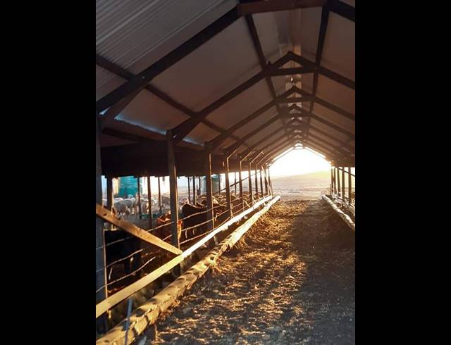 FARM FOR SALE IN RIVERSDALE